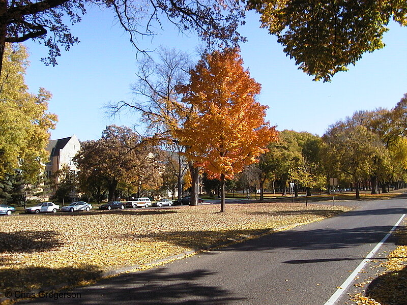 Photo of Summit Avenue at Cretin Avenue(1125)