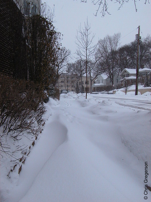 Photo of Snow-covered Sidewalk on 44th Street(1155)