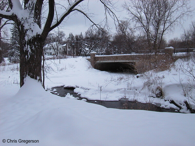 Photo of Humbolt Avenue Bridge in Winter(1187)