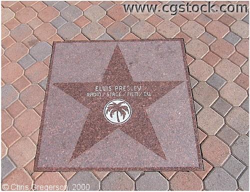 Photo of Elvis's Star in Palm Springs(1251)