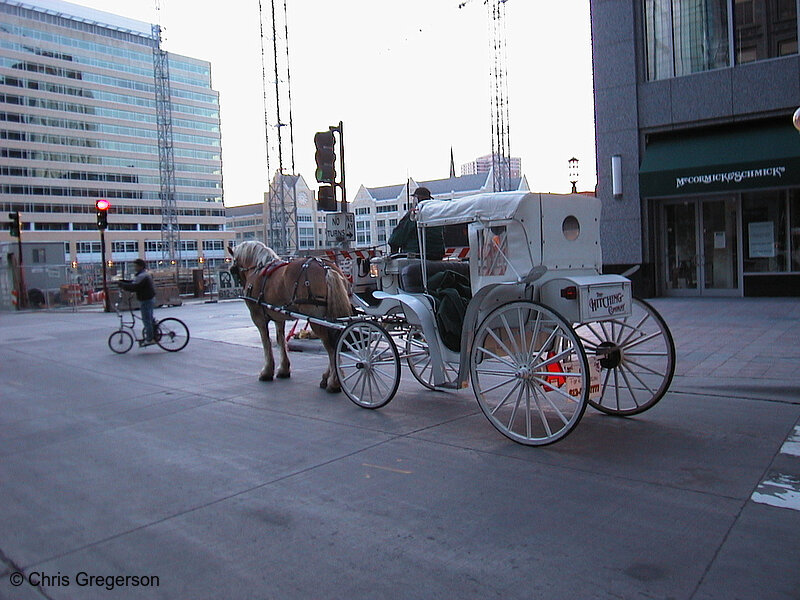 Photo of Horse and Buggy(238)