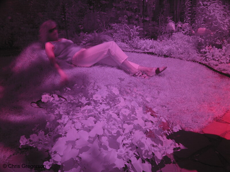 Photo of Backyard Lawn Chair (Infrared)(2848)
