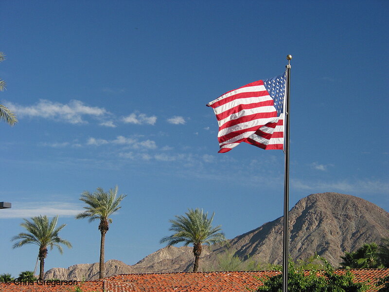 Photo of American Flag, Palm Trees, and Mountains(3013)