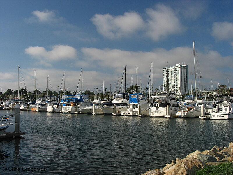 Photo of Boats in the Oceanside Harbor(3018)