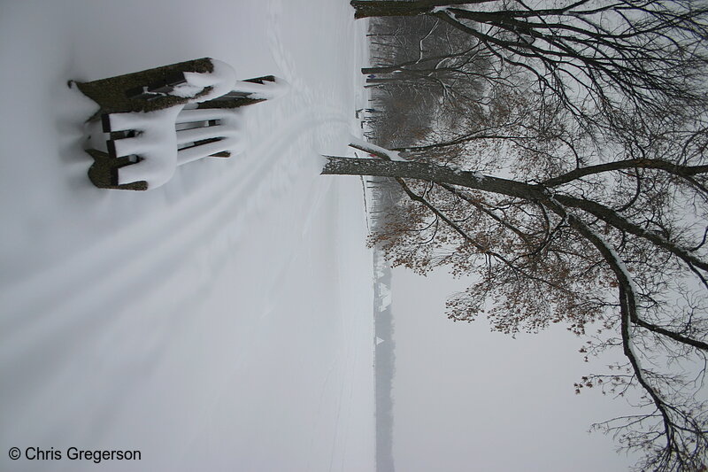 Photo of Snow-Covered Bench by Lake Harriet(3078)