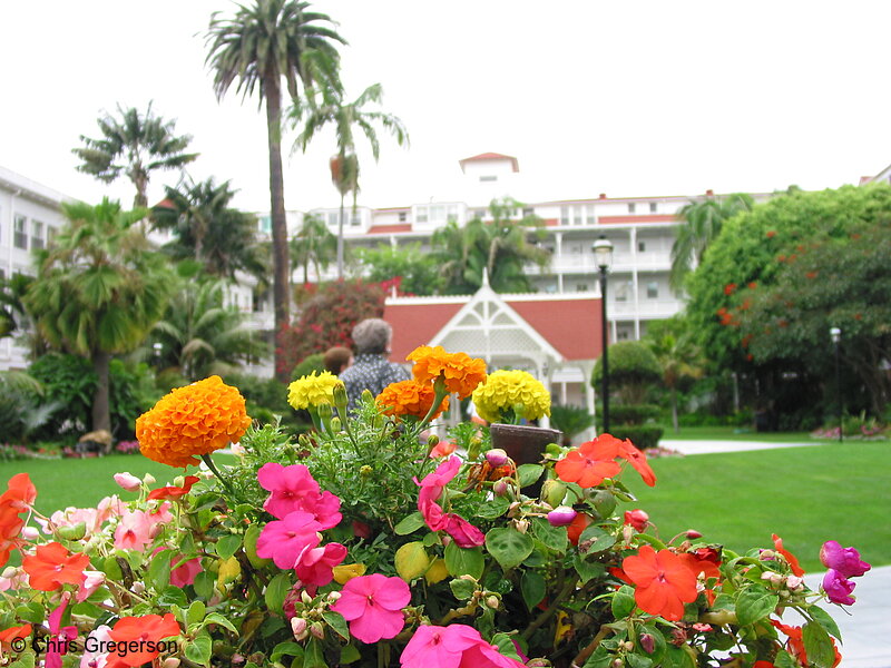Photo of Hotel del Coronado Courtyard(3169)