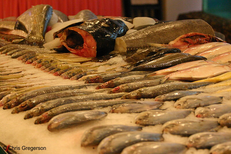 Photo of Fresh Seafood(3358)
