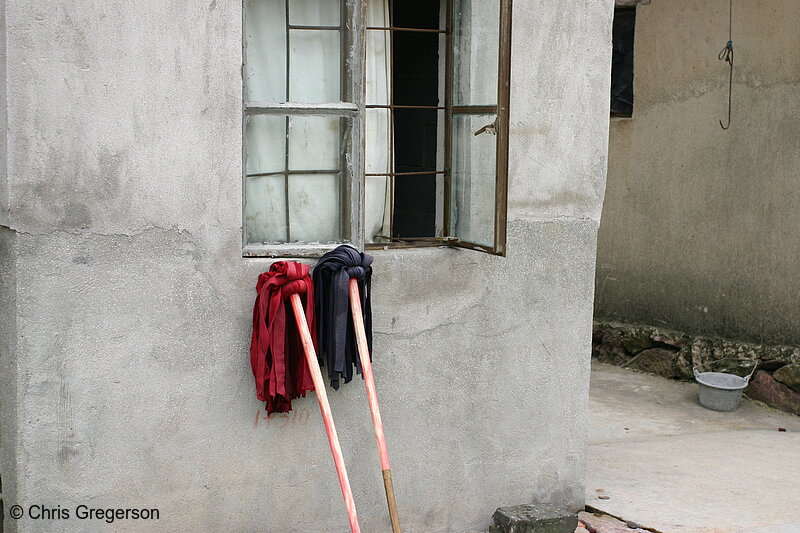 Photo of Mops Outside Rural Home in China(3360)