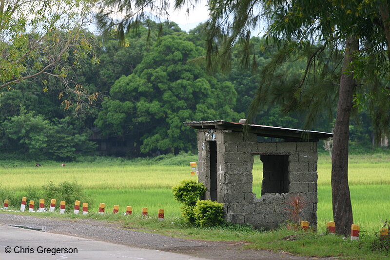 Photo of Roadside Bus Shelter, the Philippines(4176)