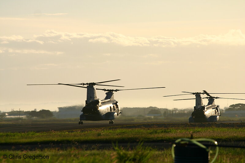 Photo of Marine Choppers Taking Off at Sunrise(4260)