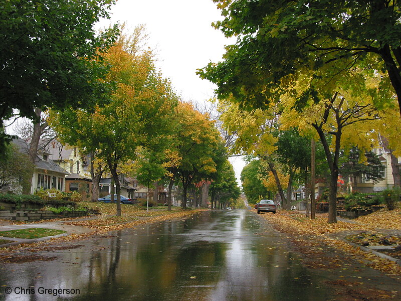 Photo of Residential Street in Early Fall (4423)