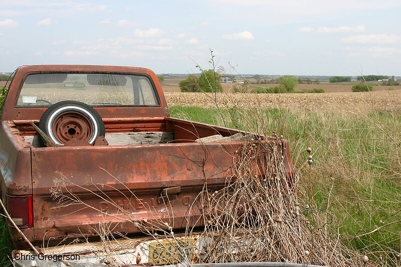 Photo of Abandoned Pickup Truck and Cornfields(4515)