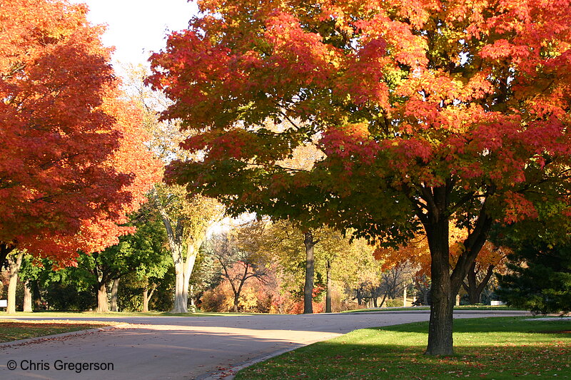 Photo of Fall Colors at Lakewood Cemetery(4919)