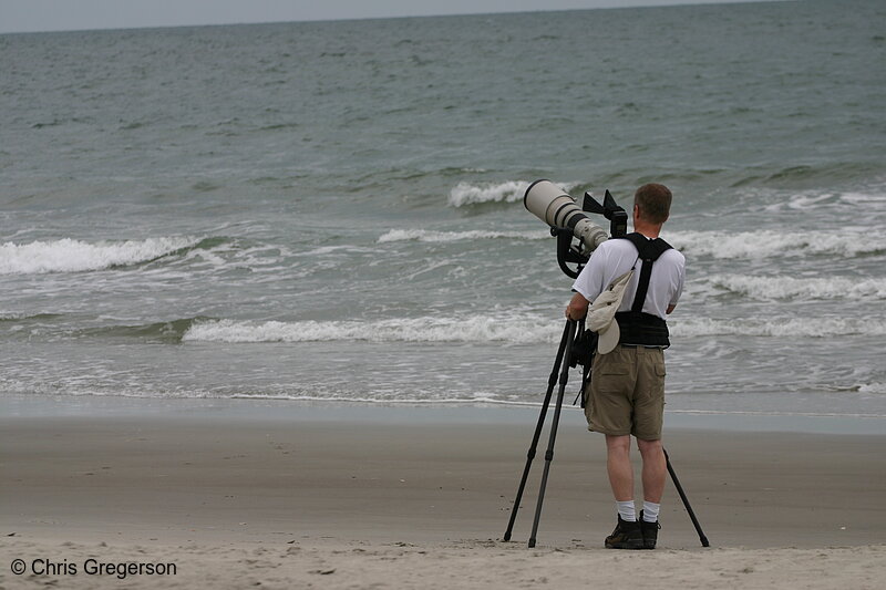 Photo of Wildlife Photographer on the Shore of the Atlantic Ocean(4968)