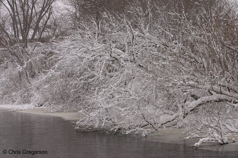Photo of Riverbank after a Winter Snowstorm(5038)