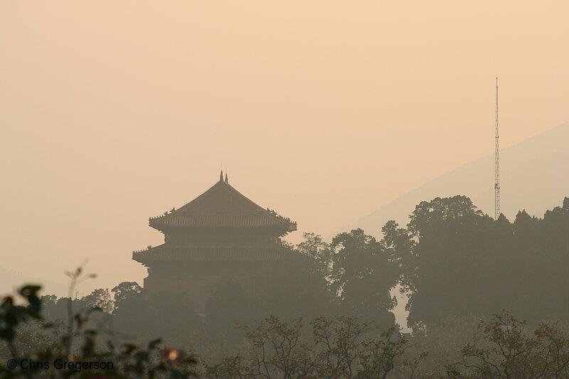 Photo of Silhouette of Pagoda and Trees at Sunset(5162)