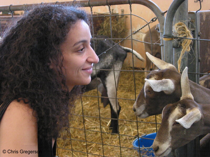 Photo of Woman Visiting the Goats(5321)
