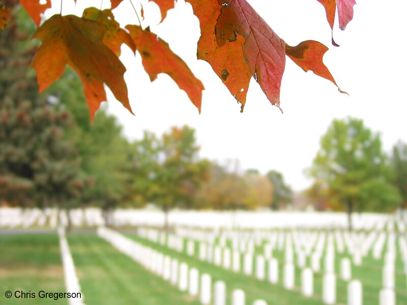 Photo of Field of Headstones, Fort Snelling National Cemetery(5353)