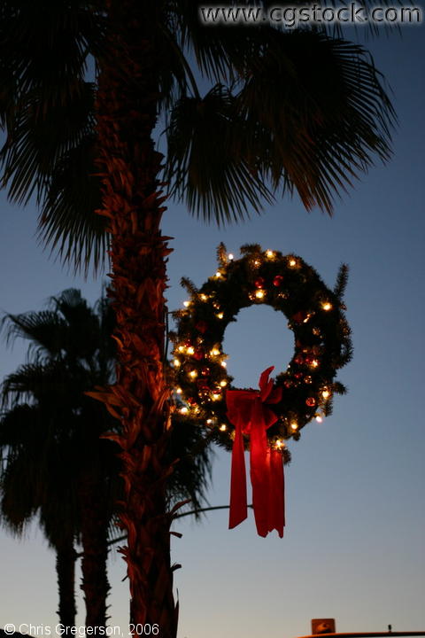 Photo of A Christmas Wreath and Palm Tree, Palm Desert, CA(5493)