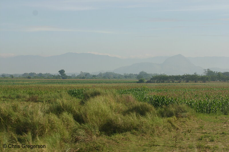 Photo of Agricultural Land Near a Mountain Range in Tarlac, Philippines(5711)