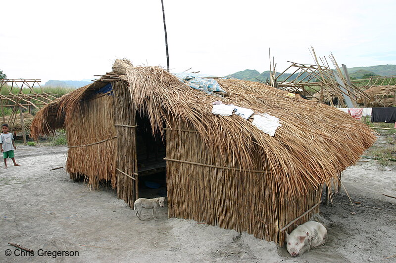 Photo of Traditional Aeta House in Pampanga Settlement Area(5991)