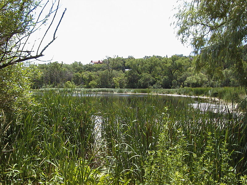 Photo of Spring Lake(607)