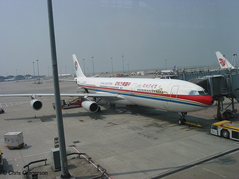 Photo of China Eastern Jet at the Gate in Hong Kong(6172)