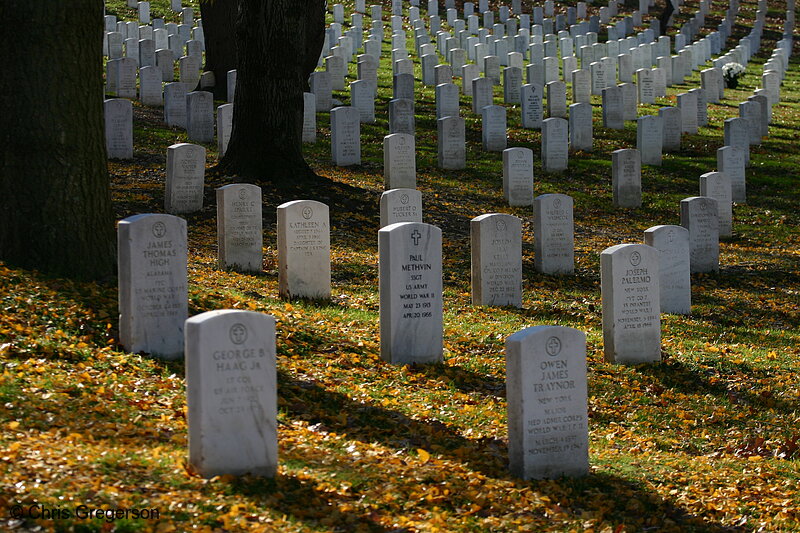Photo of Tombstones in Fall at Arlington National Cemetery(6328)