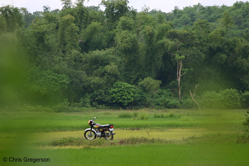Photo of Motorcycle Parked in a Rice Field, Ilocos Norte(6365)