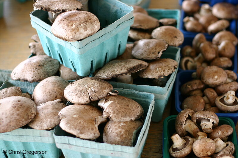Photo of Mushrooms for Sale, Farmer's Market(6402)
