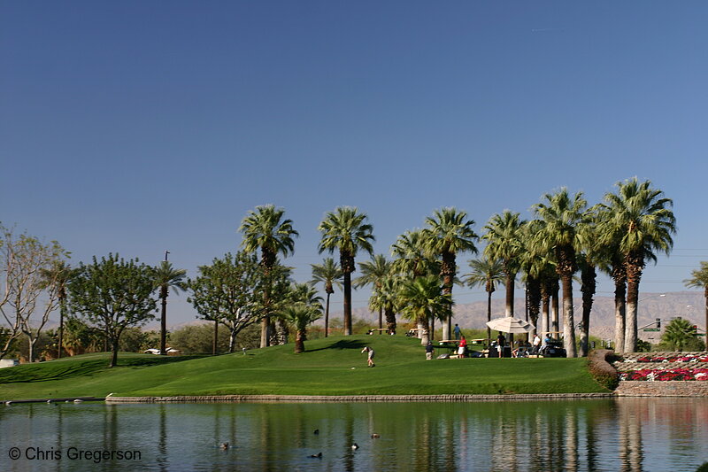 Photo of Golf Course, Marriott Desert Springs(6440)