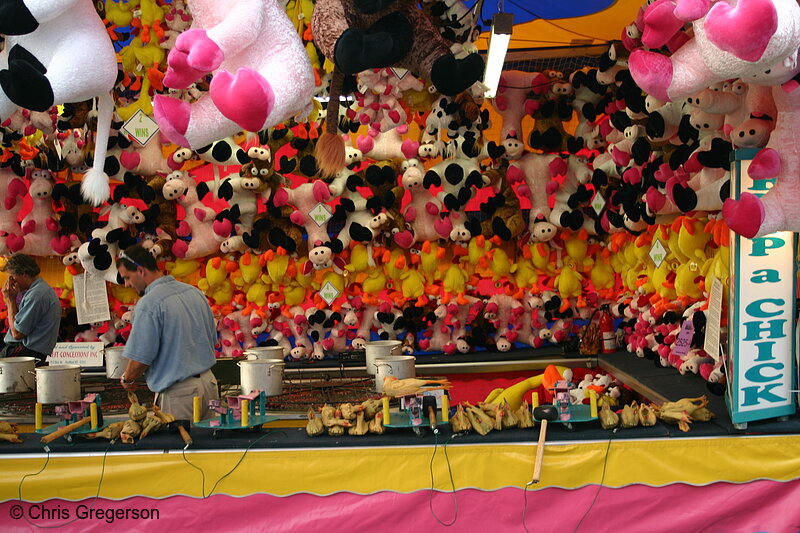 Photo of Toys at the Games of Chance, Minnesota State Fair(6550)