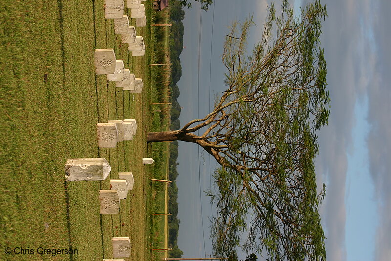 Photo of Clark Air Force Base Cemetery for Filipino/American Veterans(6589)