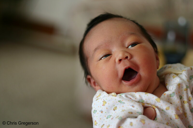 Photo of Newborn Baby(6761)