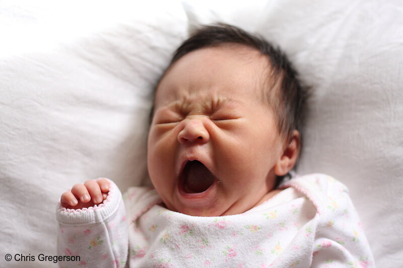 Photo of Newborn Baby Yawning(6767)