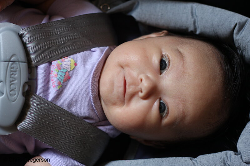 Photo of Young Baby in a Carseat Smiling(6795)