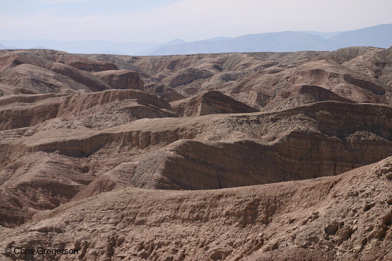 Photo of Anza-Borrego Desert State Park(6859)