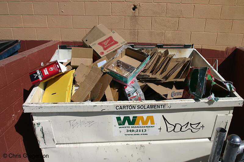 Photo of Waste Management Dumpster, California(6951)