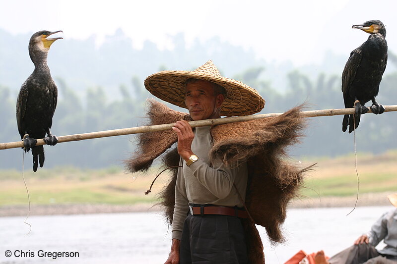 Photo of Traditional Fisherman, Li River, China(7265)