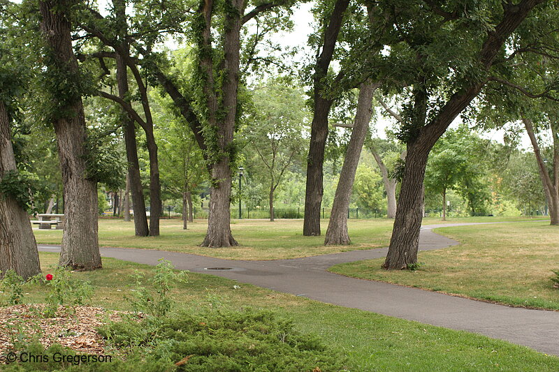 Photo of Walking Path and Trees at Minnehaha Park(7303)