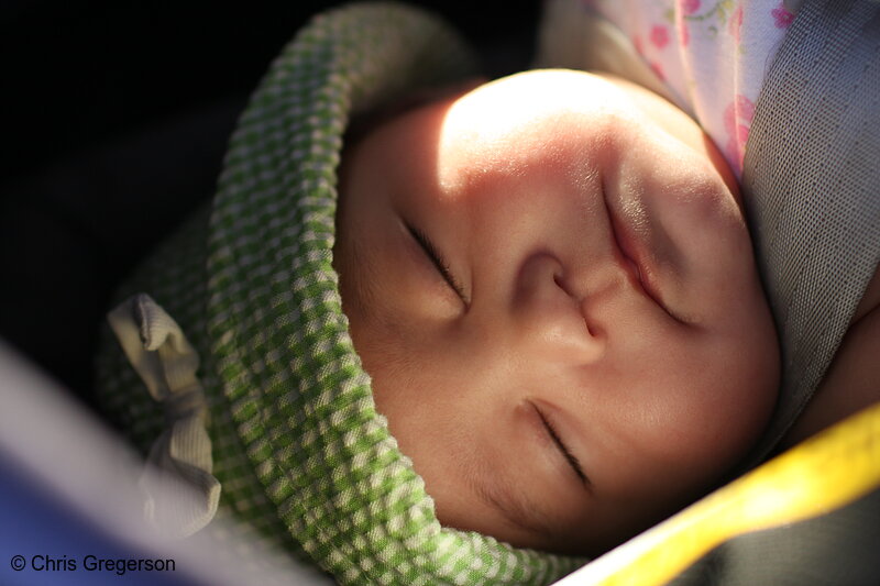 Photo of Close-Up of Baby Sleeping in Stroller(7314)