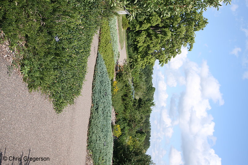 Photo of Bailey Shrub Walk, Minnesota Landscape Arboretum(7334)
