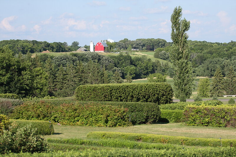Photo of Red Barn and Hedges, Minnesota Landscape Arboretum(7364)
