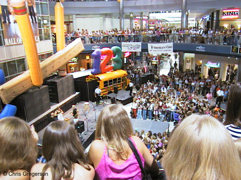 Photo of Crowd in the Rotunda at the Mall of America(742)