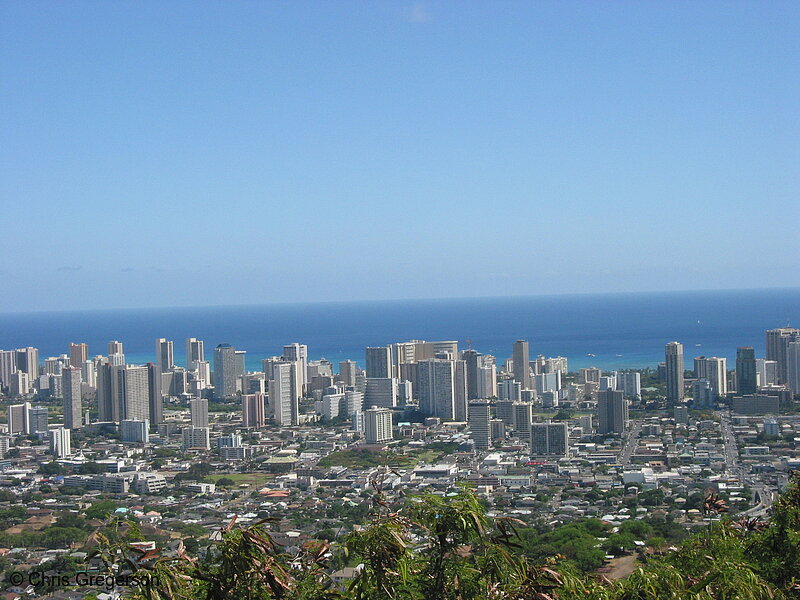 Photo of Honolulu Skyline(7624)