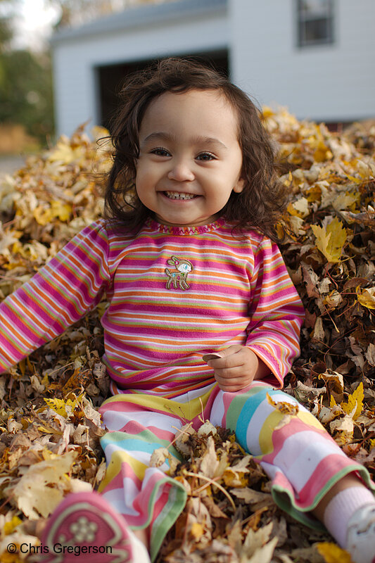 Photo of Athena in Leaf Pile(7980)