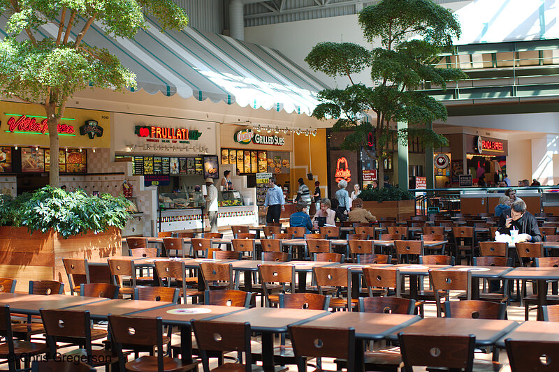 Photo of North Food Court, Mall of America(8077)