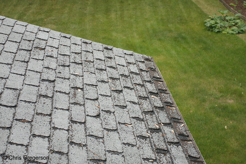Photo of Close-Up of Damaged Roof(8087)